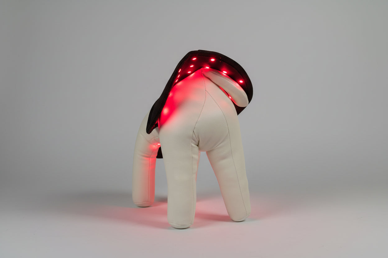 PawchelinHK 醫療級寵物紅光披肩