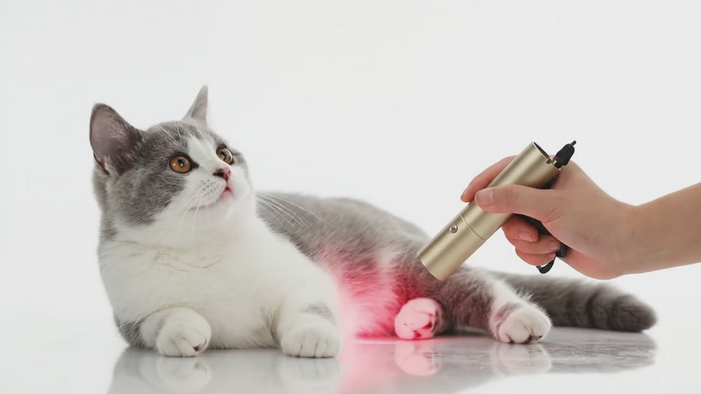 Pawchelinhk LED 光療筆